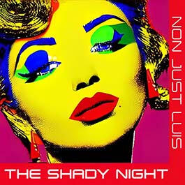 NON JUST LUIS - The Shady Night